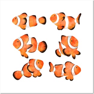 Clown Fish Posters and Art